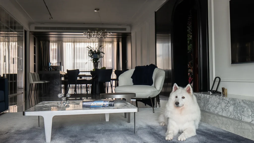 Condo Interior Design: Smart Ideas for Creating a More Functional and Refined Home